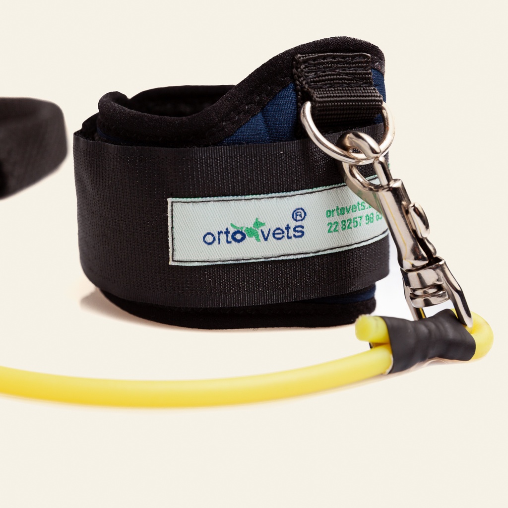 Corrector -facilitador de marcha para miembro posterior talla #2