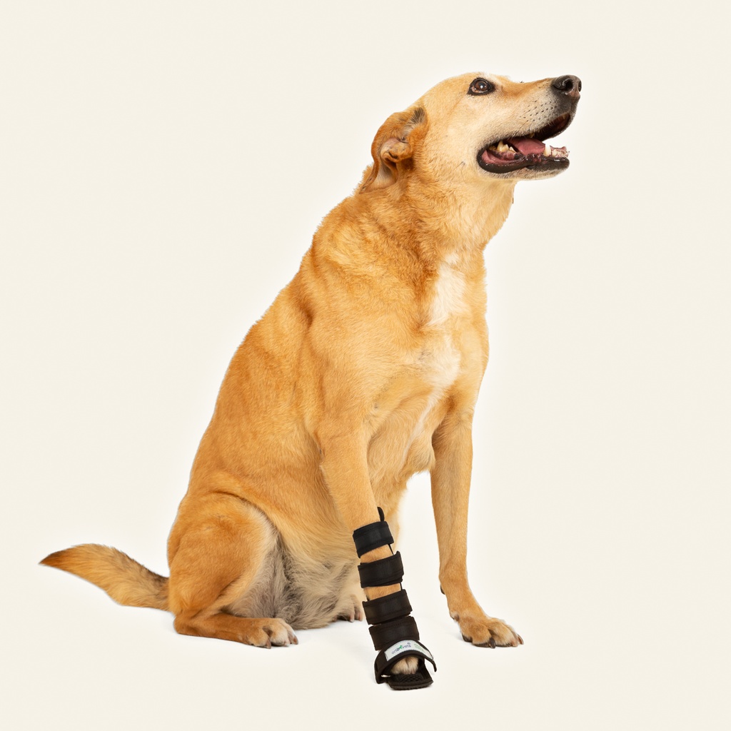 Ferulas moldeables talla #1