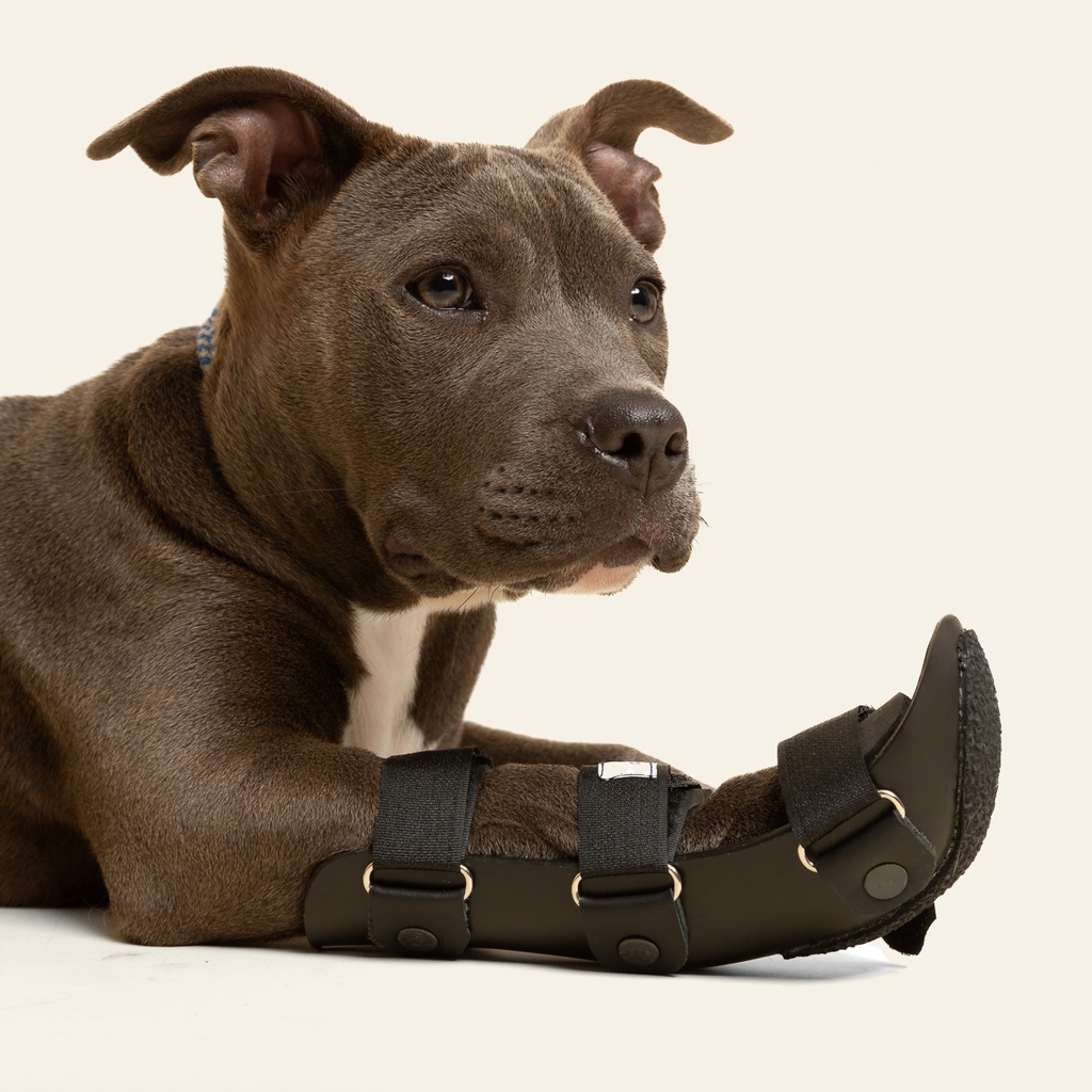 Ferulas rigida Delantera talla #3