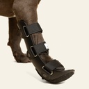 Ferulas rigida Delantera talla #5