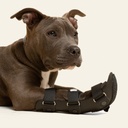 Ferulas rigida Delantera talla #6