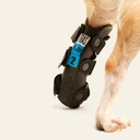 Ferulas rigida Trasera talla #5