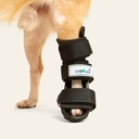 Ferulas rigida Trasera talla #6