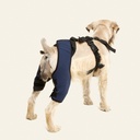 Rodillera dobles talla #1