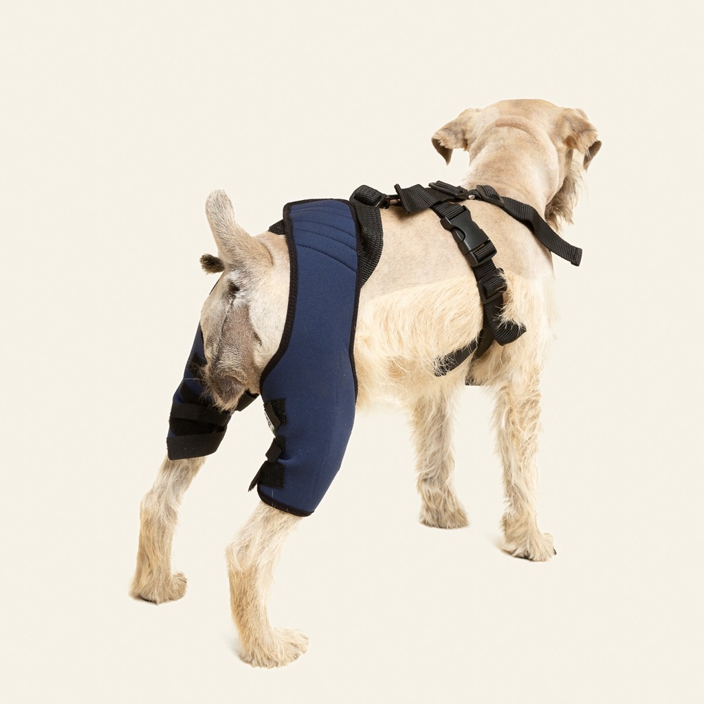 Rodillera dobles talla #8