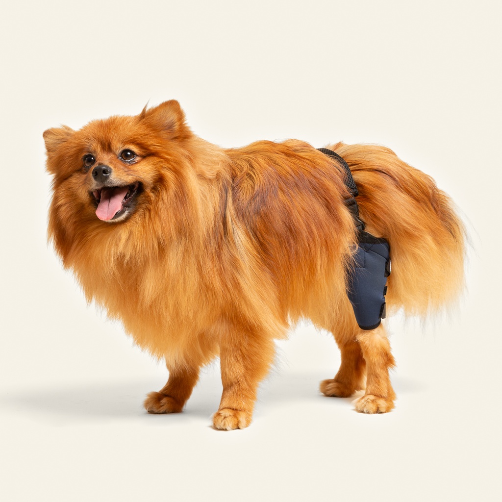 Rodillera izquierda talla #1