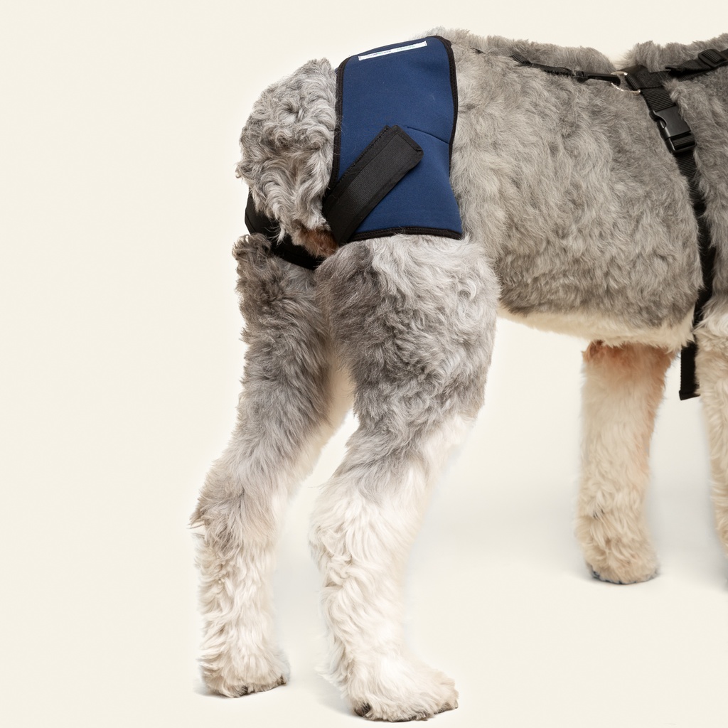 Soporte de cadera talla #2