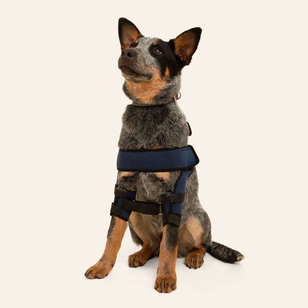 Soporte de hombro talla #7