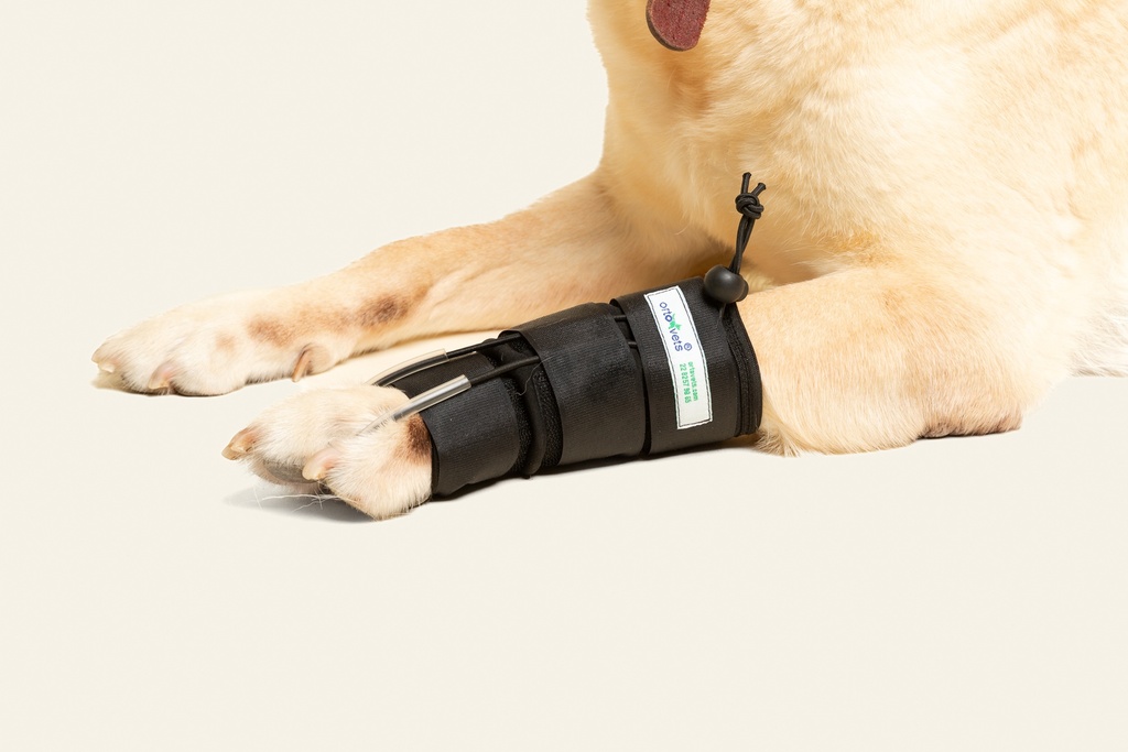 Tensor de dedos delantero talla #1