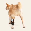 Tobillera talla #4 (protector articular para tarso)