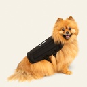 Chaleco de soporte toracolumbar talla 4