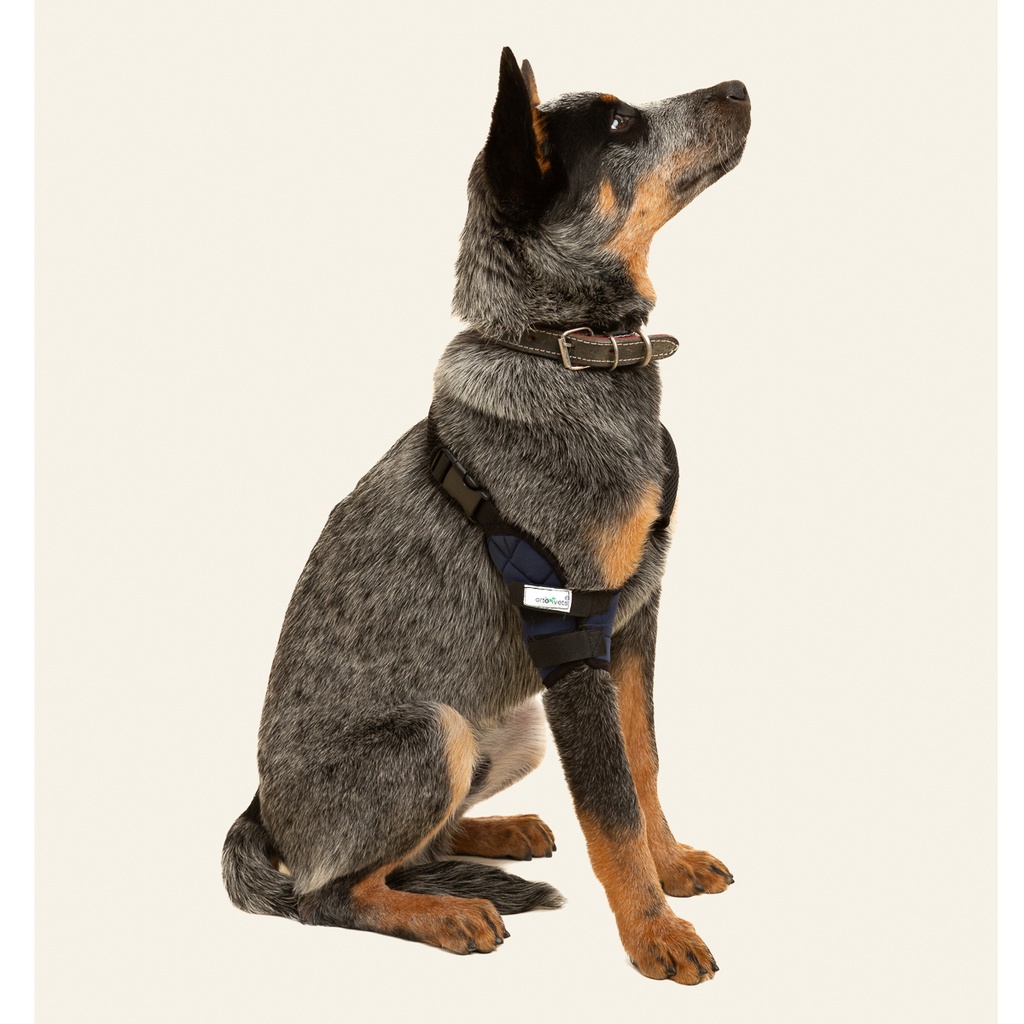 Codera derecha talla #5 (protector articular para codo)