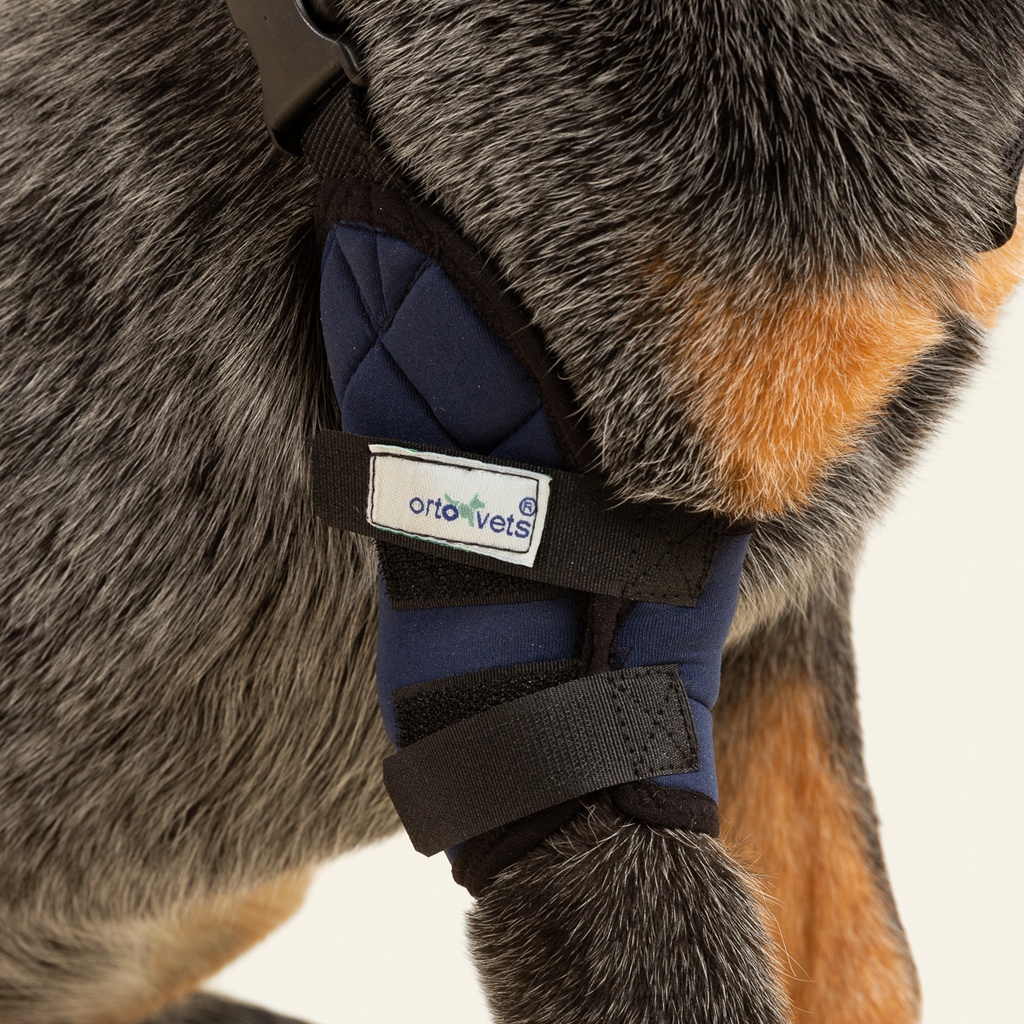 Codera derecha talla #9 (protector articular para codo)