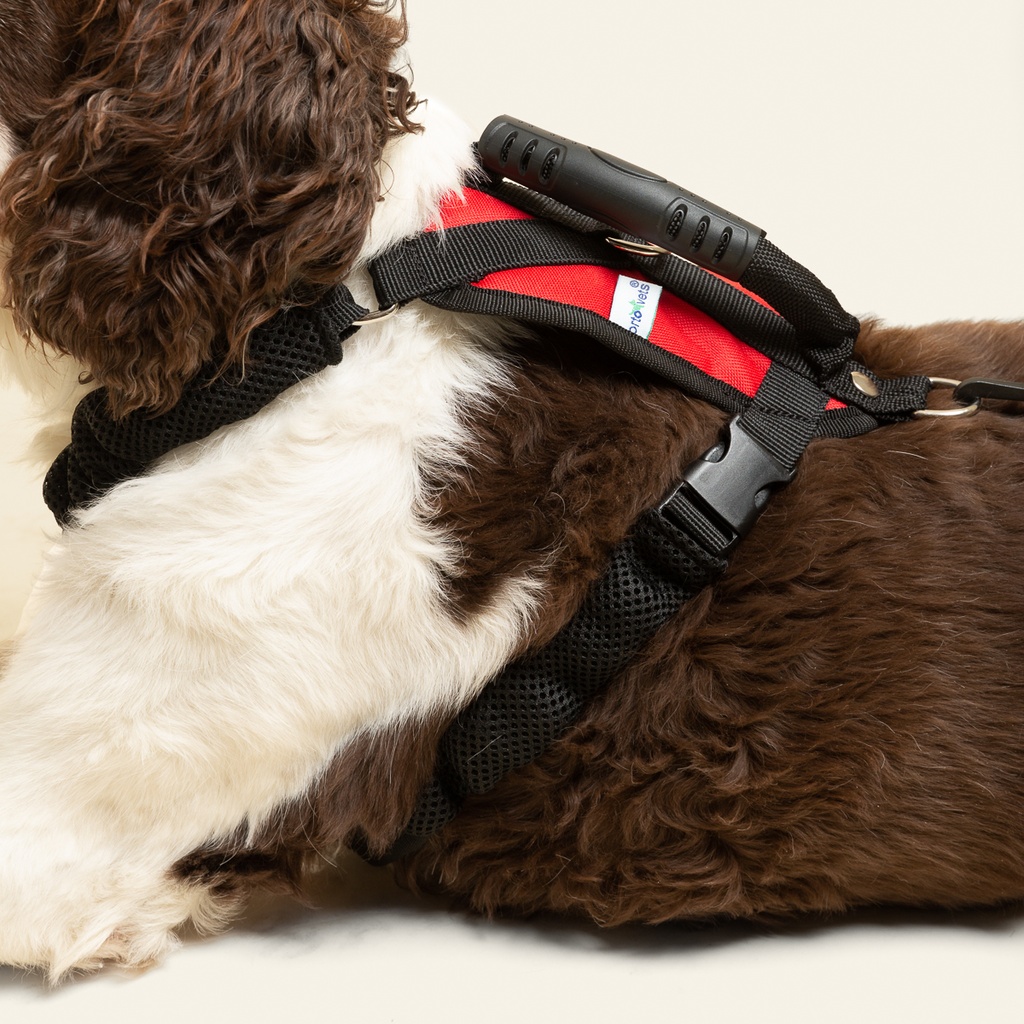 Arnes de ayuda completo talla #4