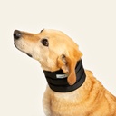 Collarin inmovilizador talla #2