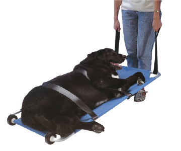 Buster Camilla para Animales 120*50 cm.