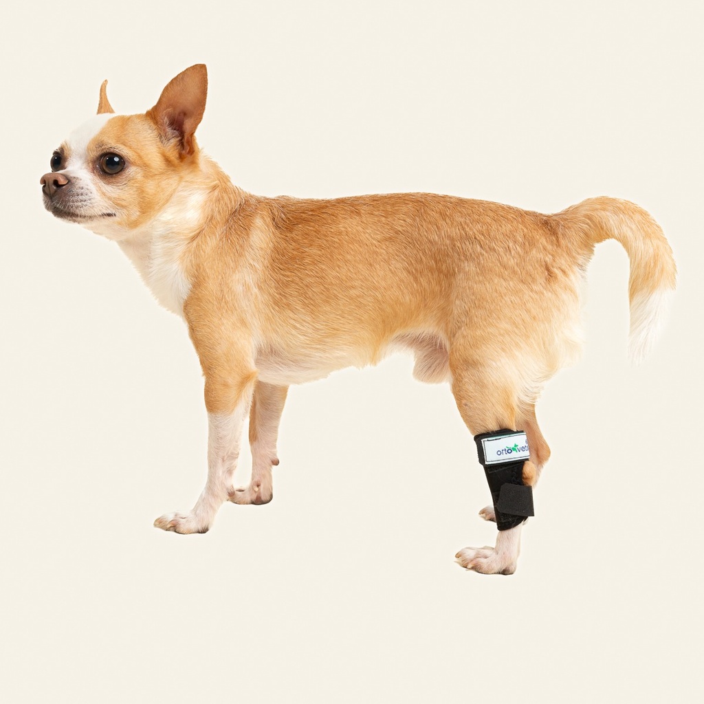 Tobillera talla #5 (protector articular para tarso)