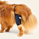 Rodillera izquierda talla #6 (protector articular para rodilla)