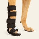 Ferulas moldeables talla #4