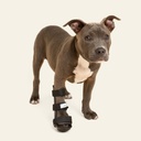 Ferulas rigida Delantera talla #1