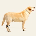 Tensor de dedos trasero talla #4