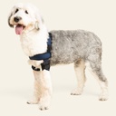 Codera doble talla #6