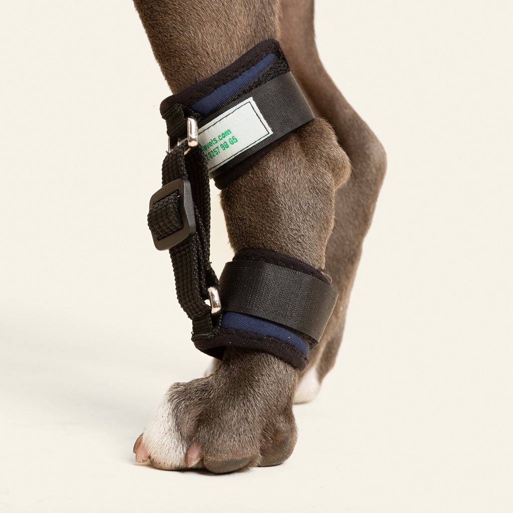 Corrector de hiperextension de tarso talla #1