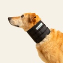 Collarin inmovilizador talla #2