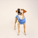 Trajes post quirurgicos talla 7