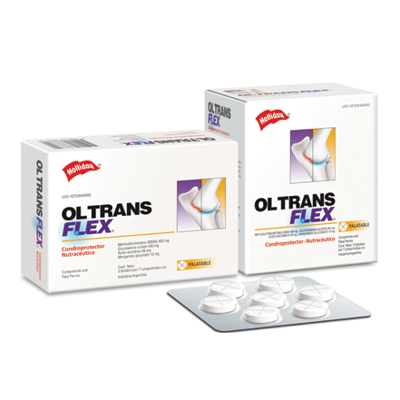 OI-Trans Flex x 21 comp.