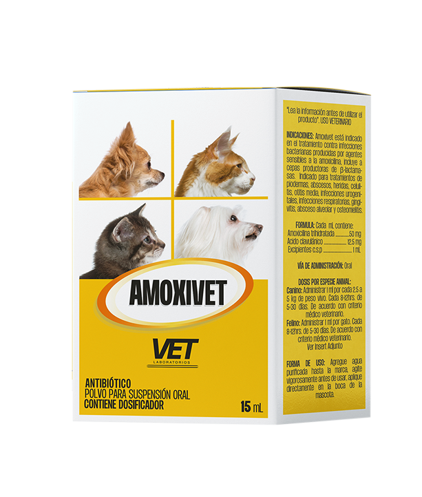 Amoxivet polvo 15 ml