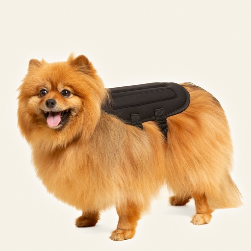 [ortov015] Chaleco de soporte toracolumbar talla 4