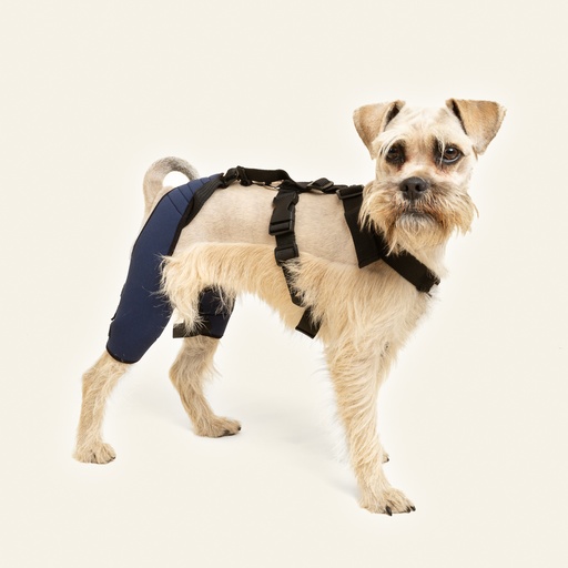 [ortov084] Rodillera dobles talla #3