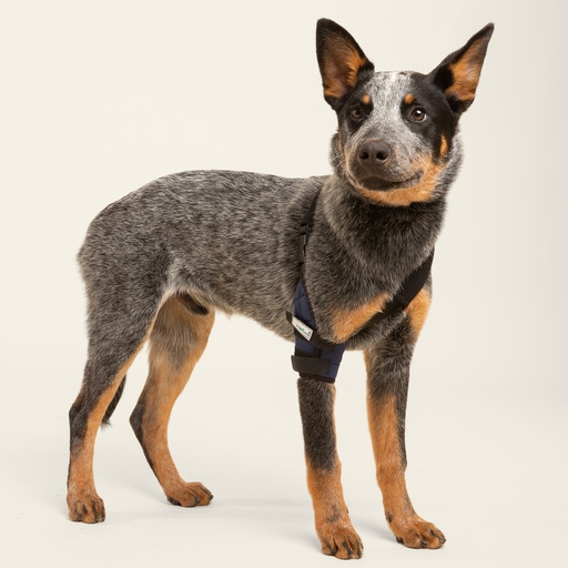 [ortov030] Codera izquierda talla #4 (protector articular para codo)