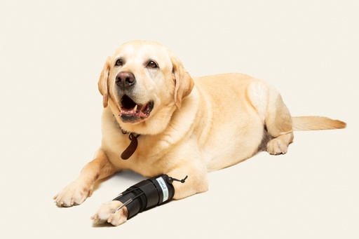 [ortov114] Tensor de dedos delantero talla #1