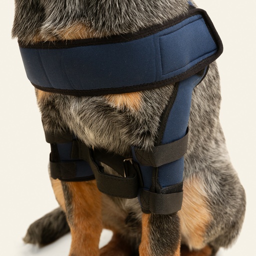 [ortov106] Soporte de hombro talla #2