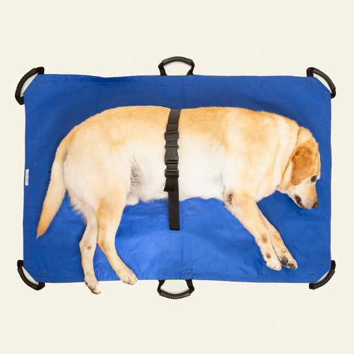 [ortov014] Camilla veterinaria